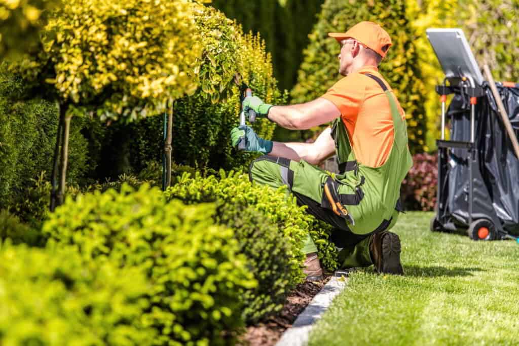 Landscaping Service in Slidell: Camellia Creek Landscape