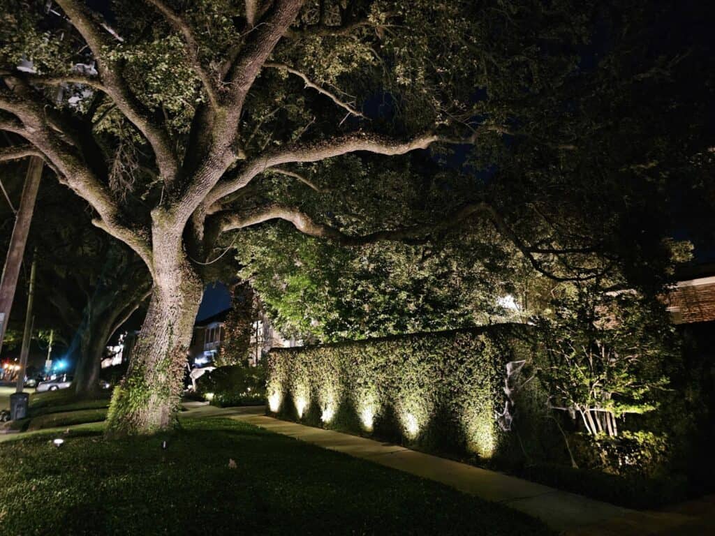 Garden and tree landscape lighting brings natural beauty to life after sunset