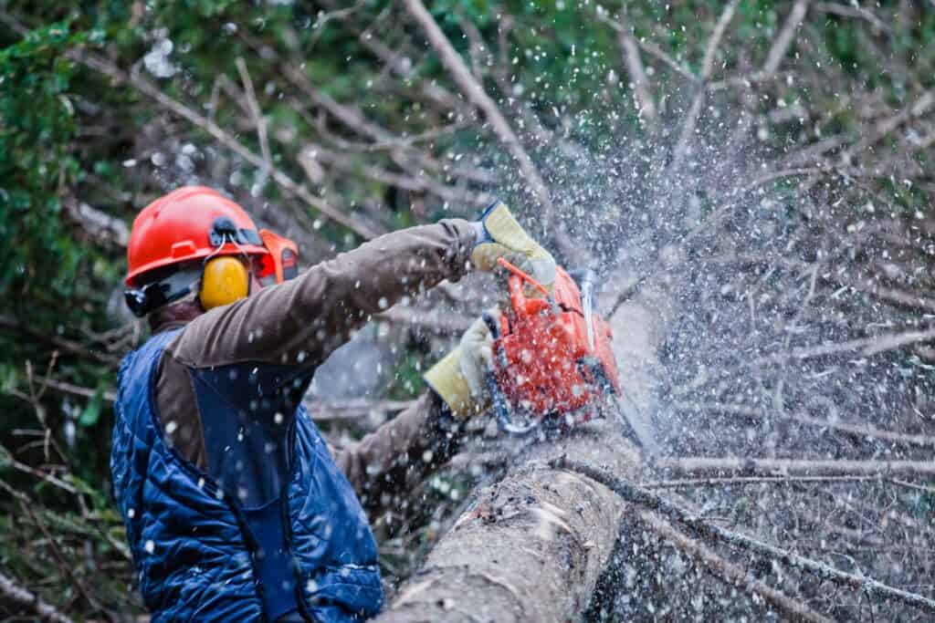 Reliable Tree Service in Slidell