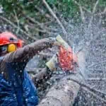 Reliable Tree Service in Slidell